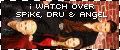 spikedruangel.gif (6691 bytes)